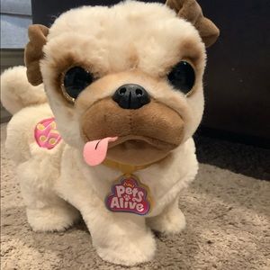 Pets Alive Dancing Pug